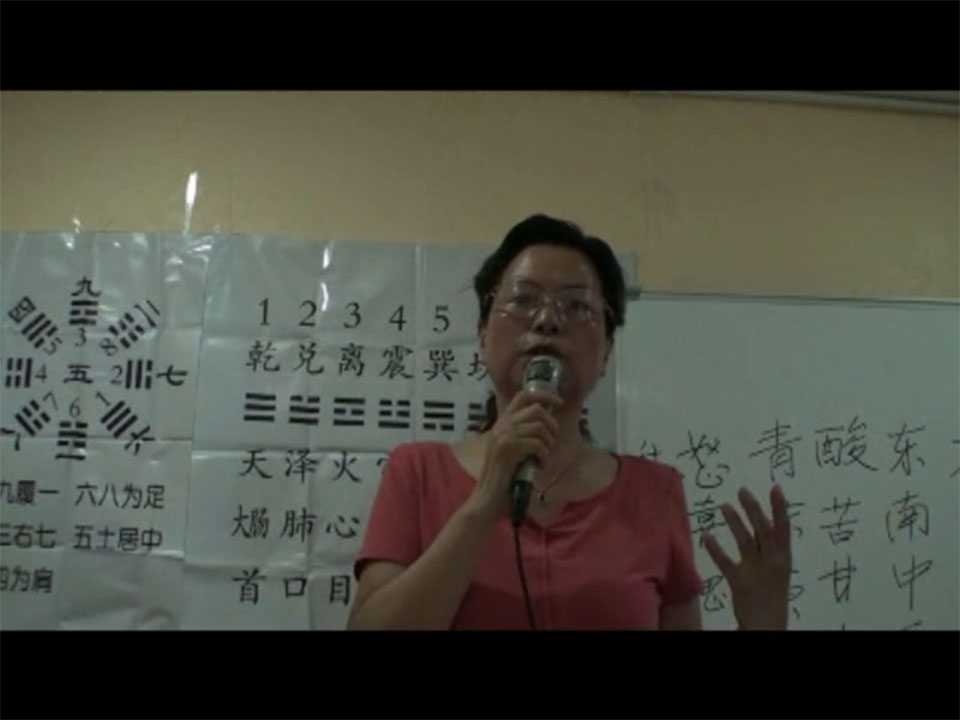 Peng Ailian July 2011 Beijing Bagua and Elephant Therapy face-to-face class video 5 episodes