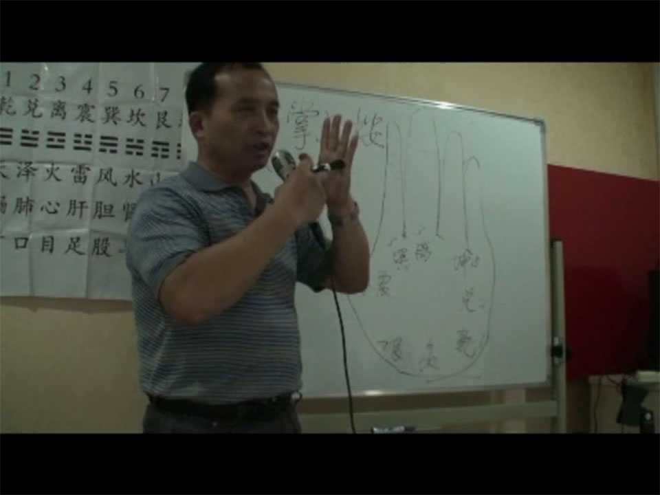 Zhang Boqing July 2011 Beijing Bagua and Xiangguo therapy face-to-face class video 5 episodes