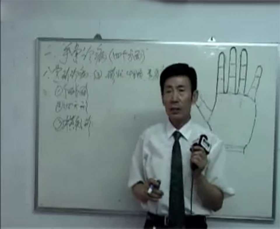 Wang Shouzhi hand diagnosis disease lecture video 5 episodes