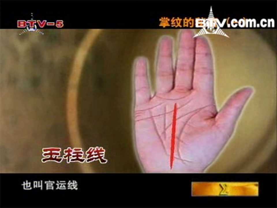 Wang Chenxia palm pattern of the secret tutorial video 14 episodes