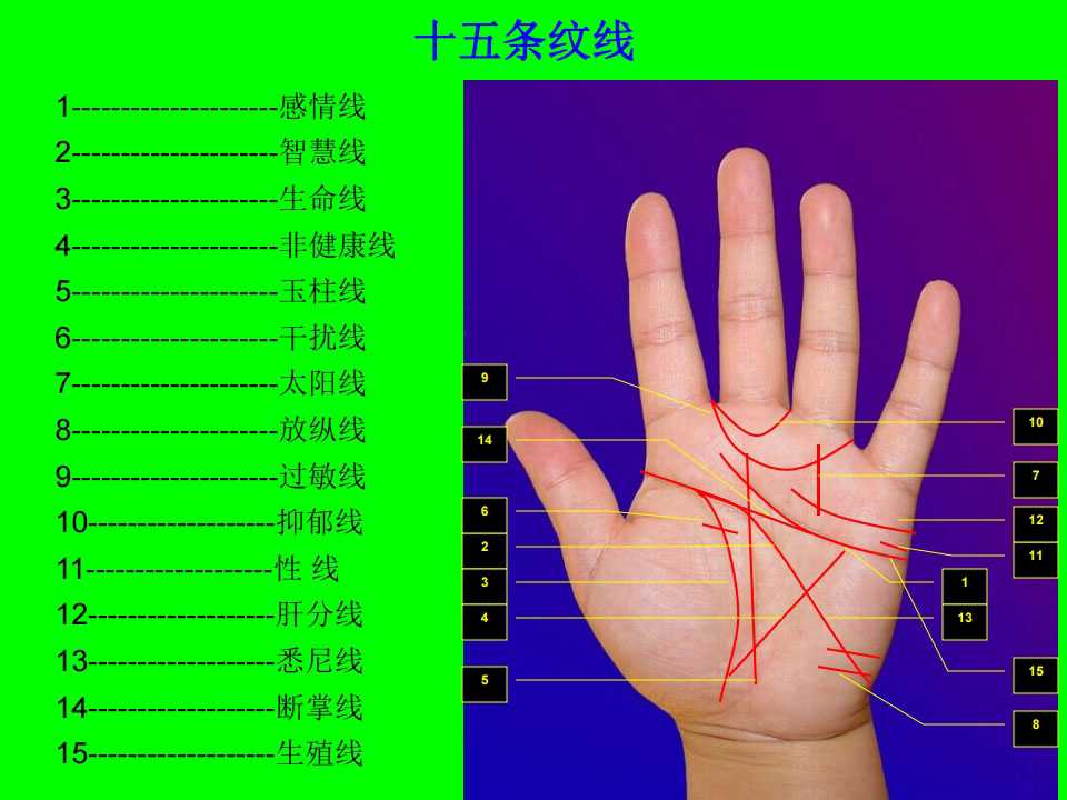 Luan holographic palm diagnosis courseware (34 pictures version) 176 pages PDF file