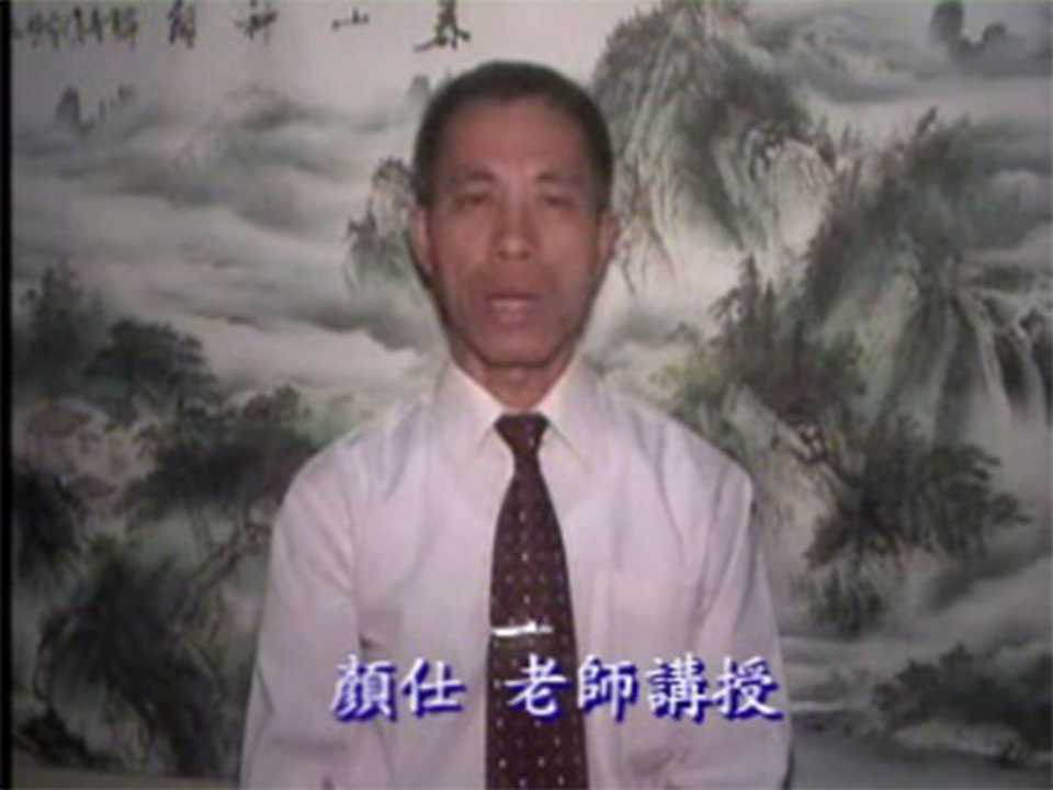 Lin Wu Zhang Mei Hua 122 trigram example video 22 episodes   handouts