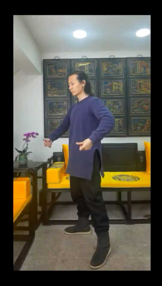Dongxuan Yin Yang Five Elements Exercise Video 4 episodes