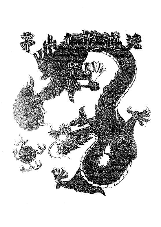 Maoshan Xuanying Hall: Nine-Dragon Divine Kungfu Elementary Class Maoshan Nine-Dragon Taoism 16 pages