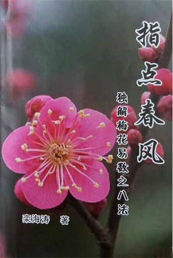 Luan Haitao’s “Pointing to the Spring Breeze-Eight Methods of Solving Plum Blossom’s Easy Counting”
