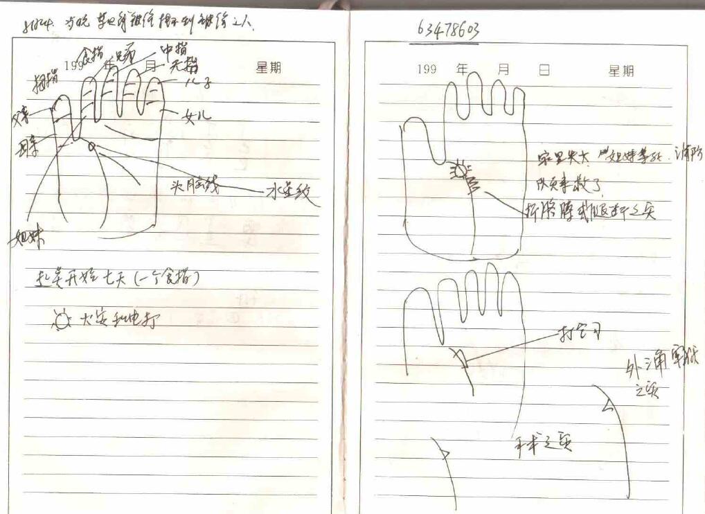 Li Chunwen Palmistry Lecture Notes 61 pages